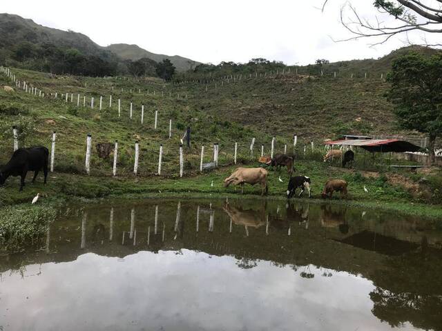 #FC23113LH - Granja  Finca para Venta en Bejuma - G