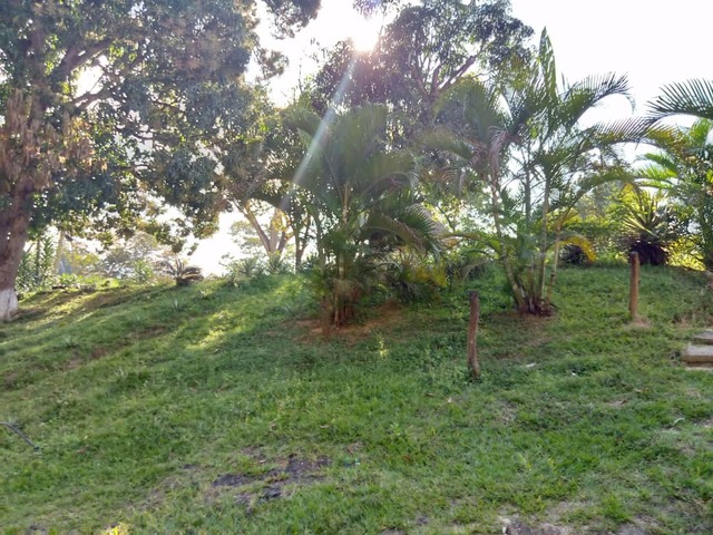 #FC23189LH - Granja  Finca para Venta en Valencia - G - 2